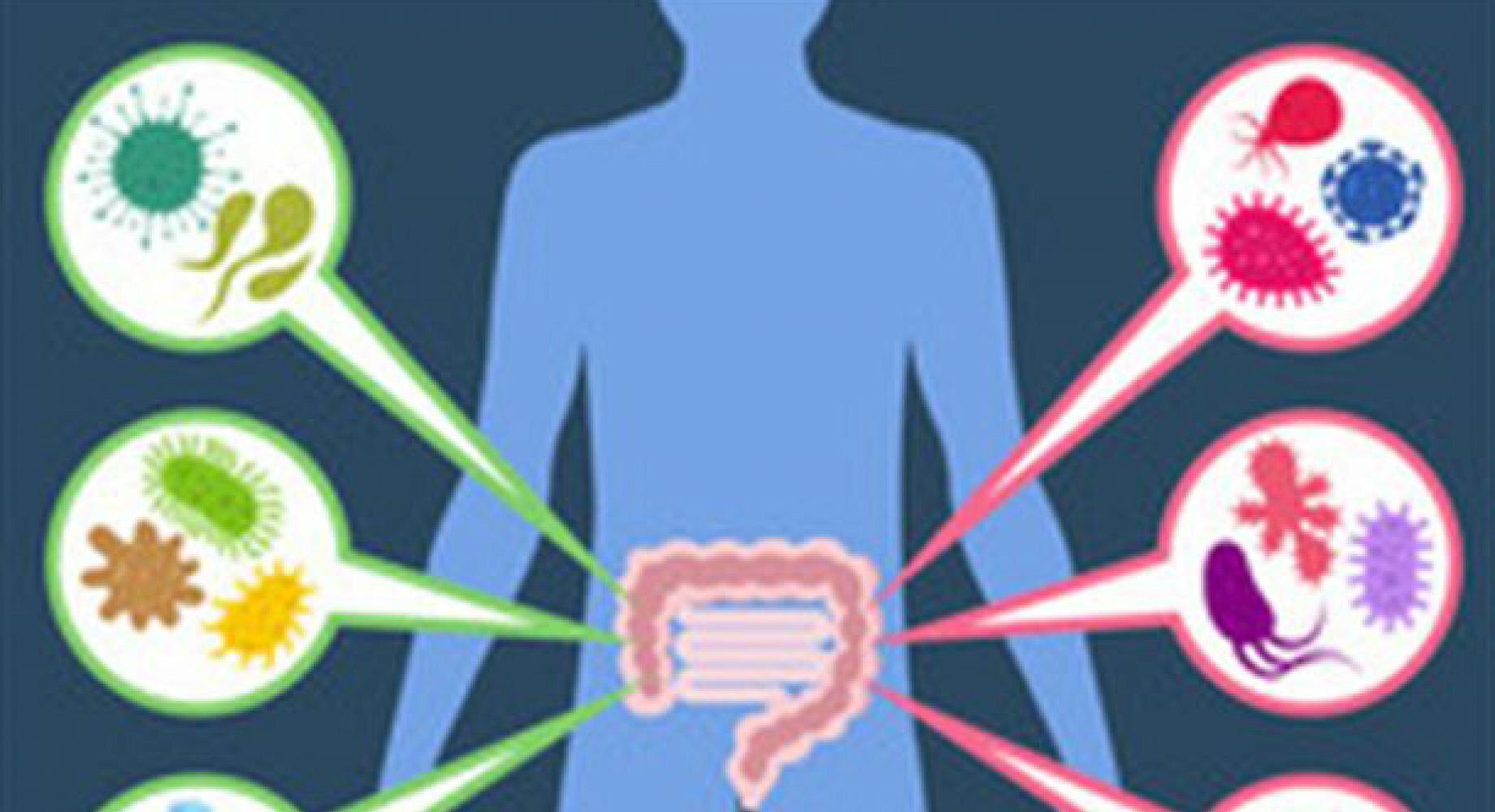 microbiota microbiota
